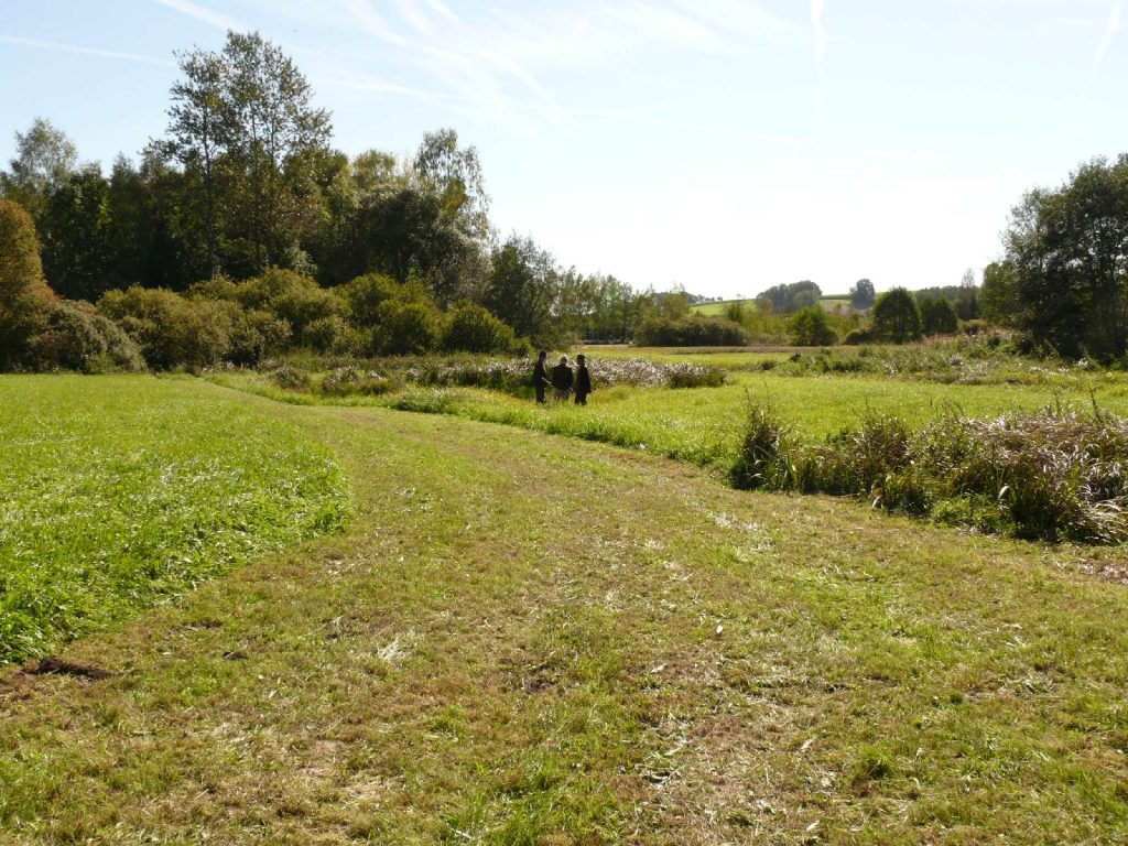 Thalhamer Moos © Wildland-Stiftung Bayern