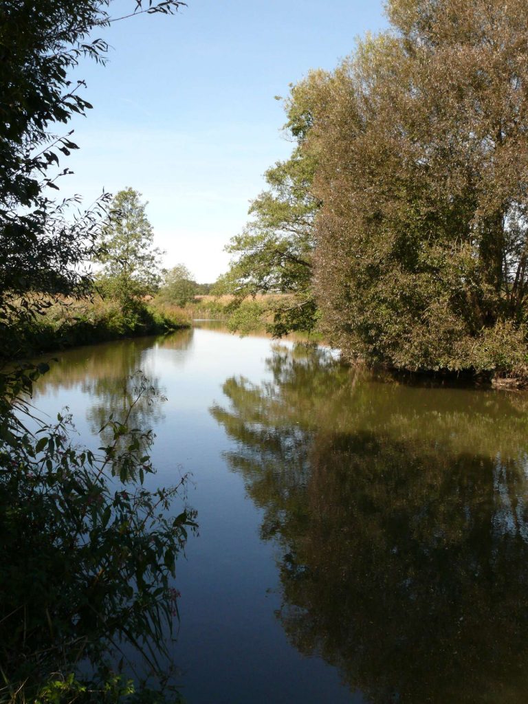 Isen Thalhamer Moos © Wildland-Stiftung Bayern