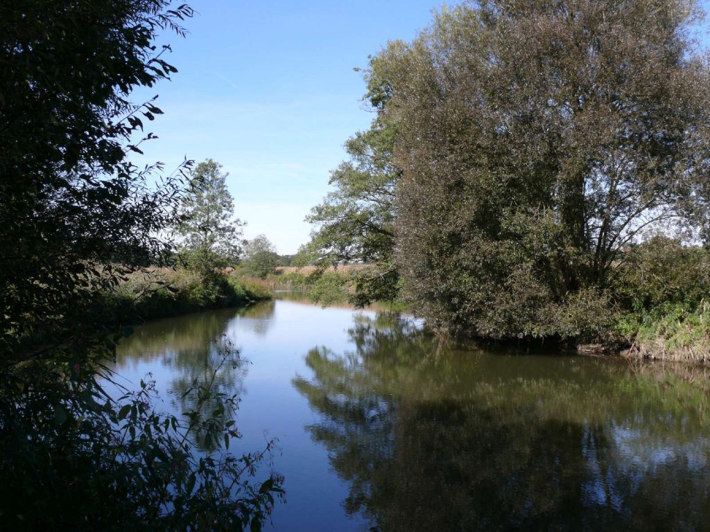 Isen Thalhamer Moos © Wildland-Stiftung Bayern