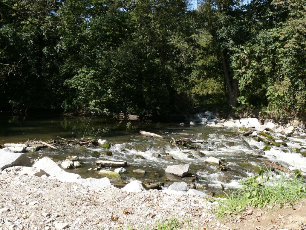 Isen Thalhamer Moos © Wildland-Stiftung Bayern