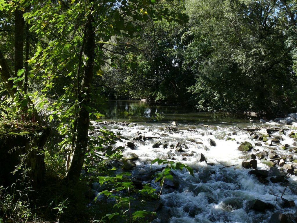 Isen Thalhamer Moos © Wildland-Stiftung Bayern