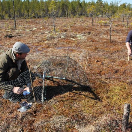 Aufbau der Fangkörbe in Schweden ©Wildland-Stiftung Bayern