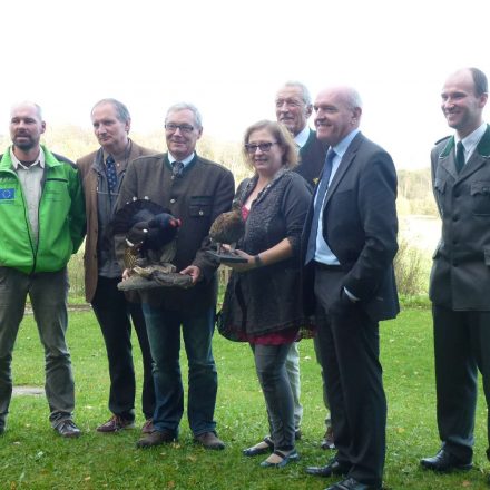 Birkwildauswilderung 2014 ©Wildland-Stiftung Bayern