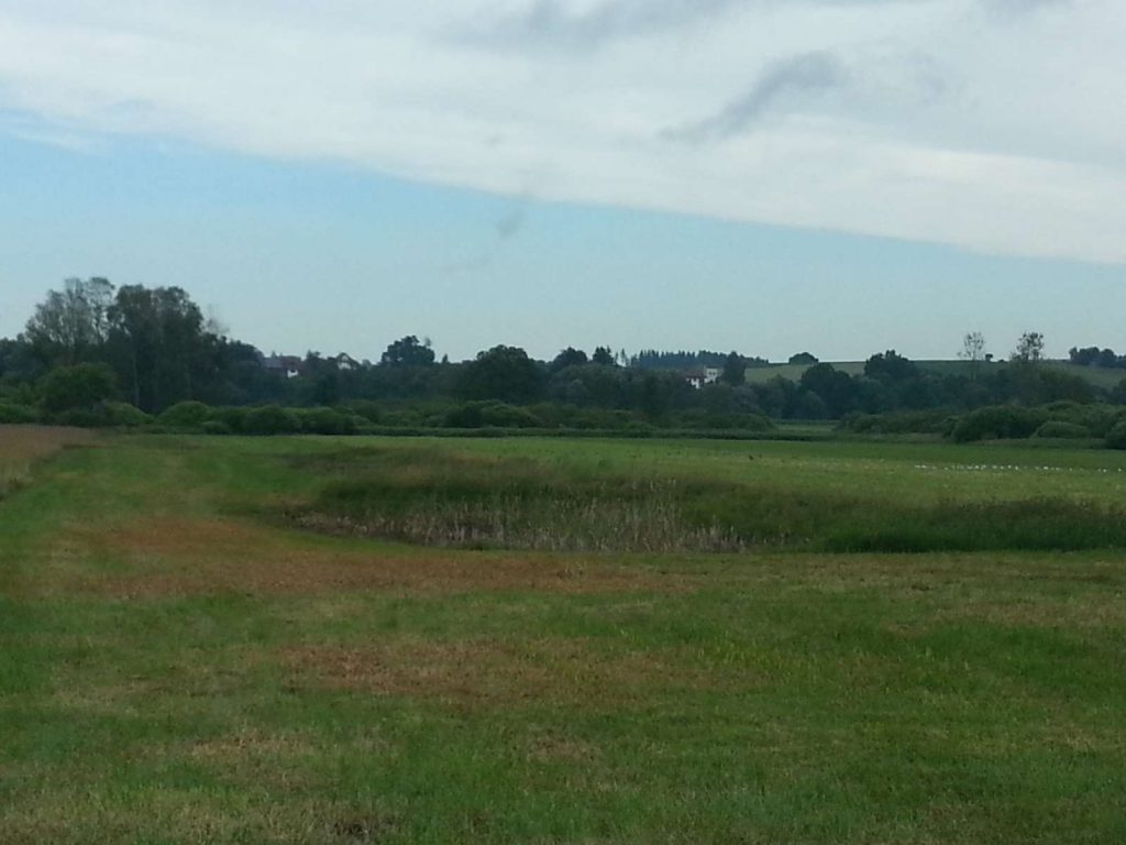 © Wildland-Stiftung Bayern