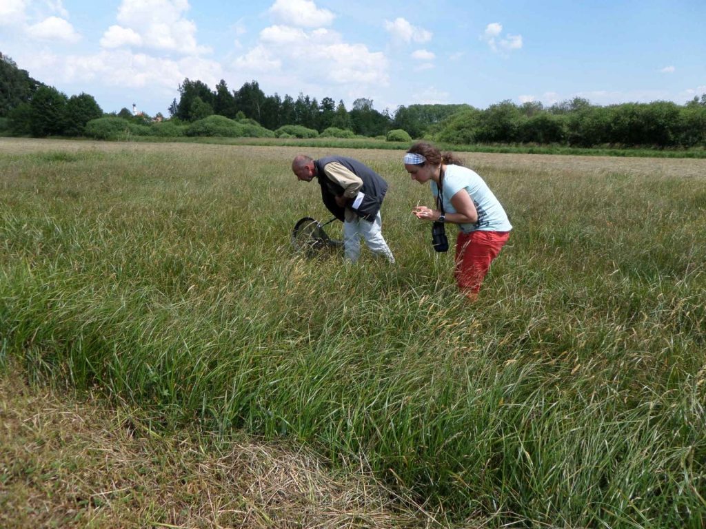 © Wildland-Stiftung Bayern