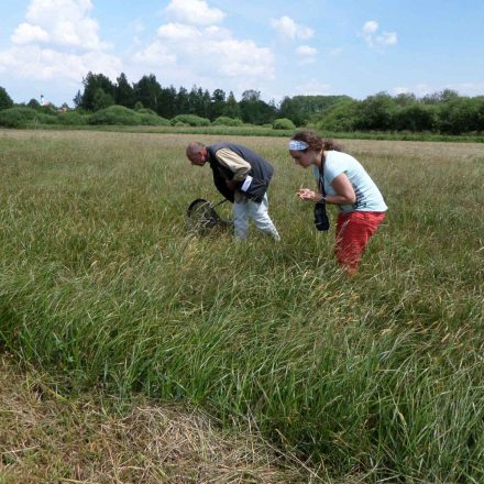 © Wildland-Stiftung Bayern