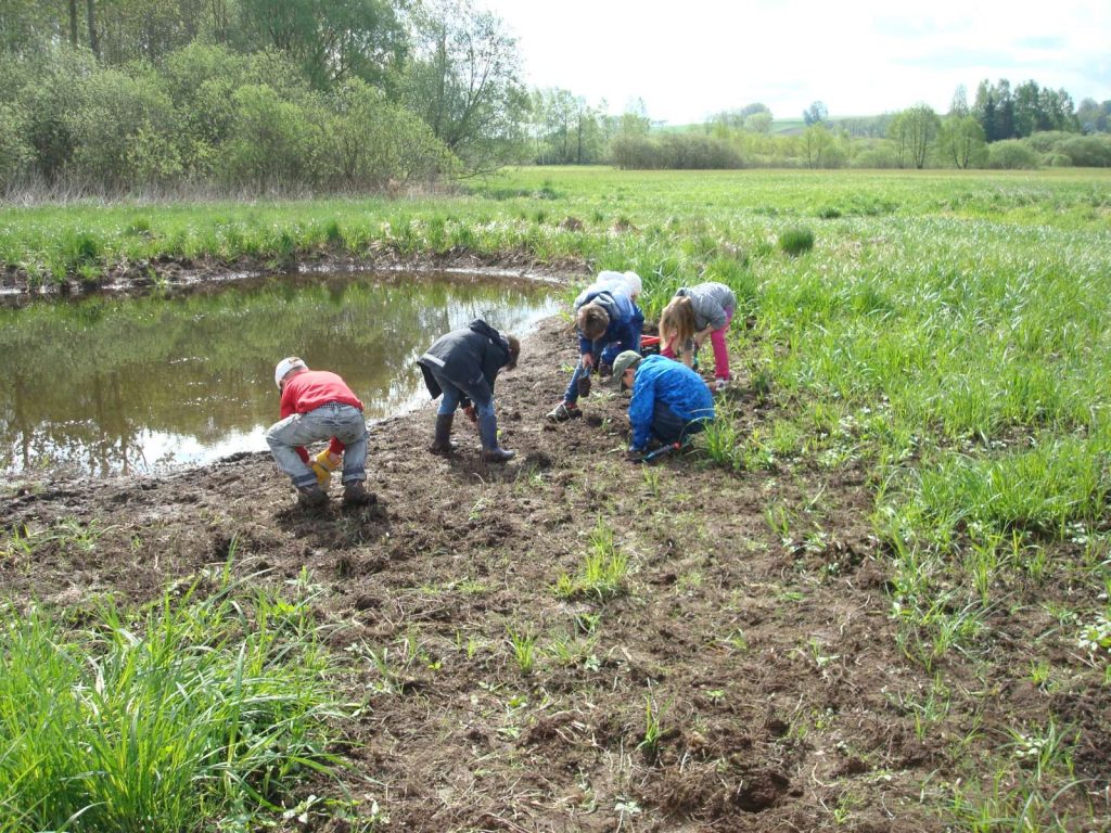 © Wildland-Stiftung Bayern