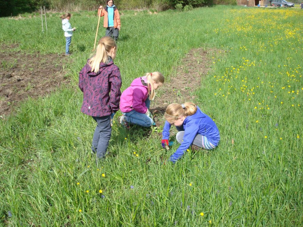 © Wildland-Stiftung Bayern