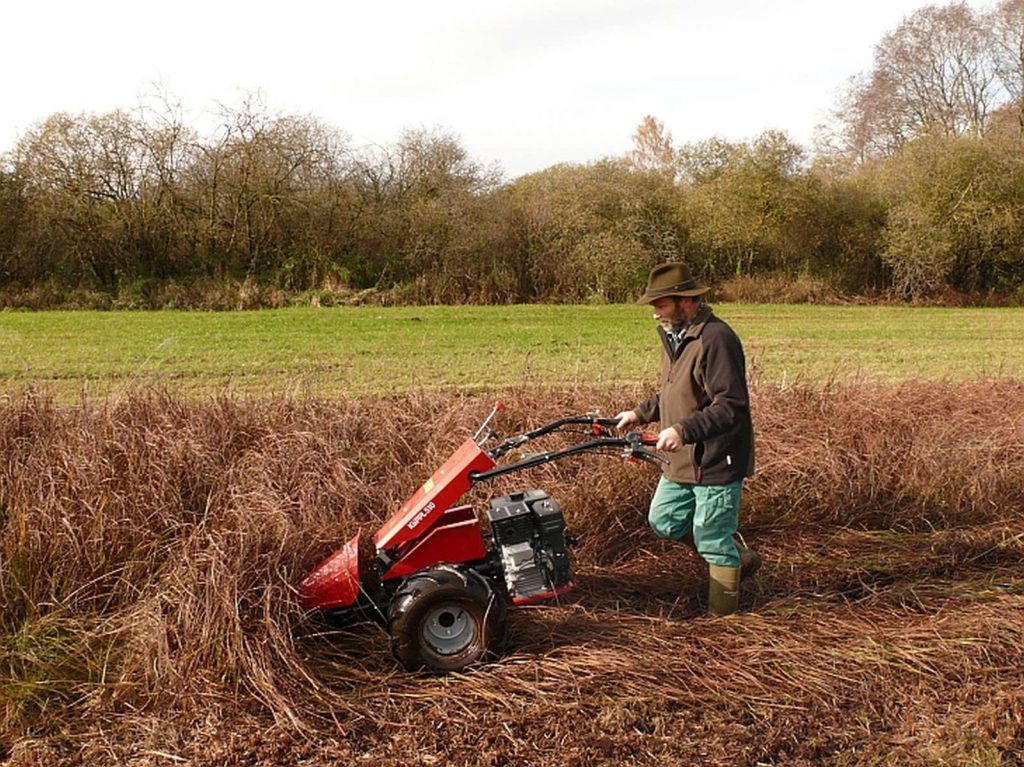 © Wildland-Stiftung Bayern