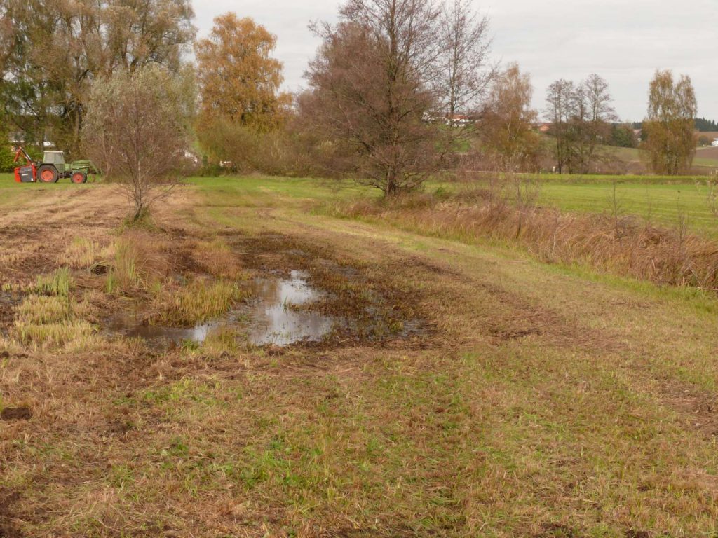 © Wildland-Stiftung Bayern