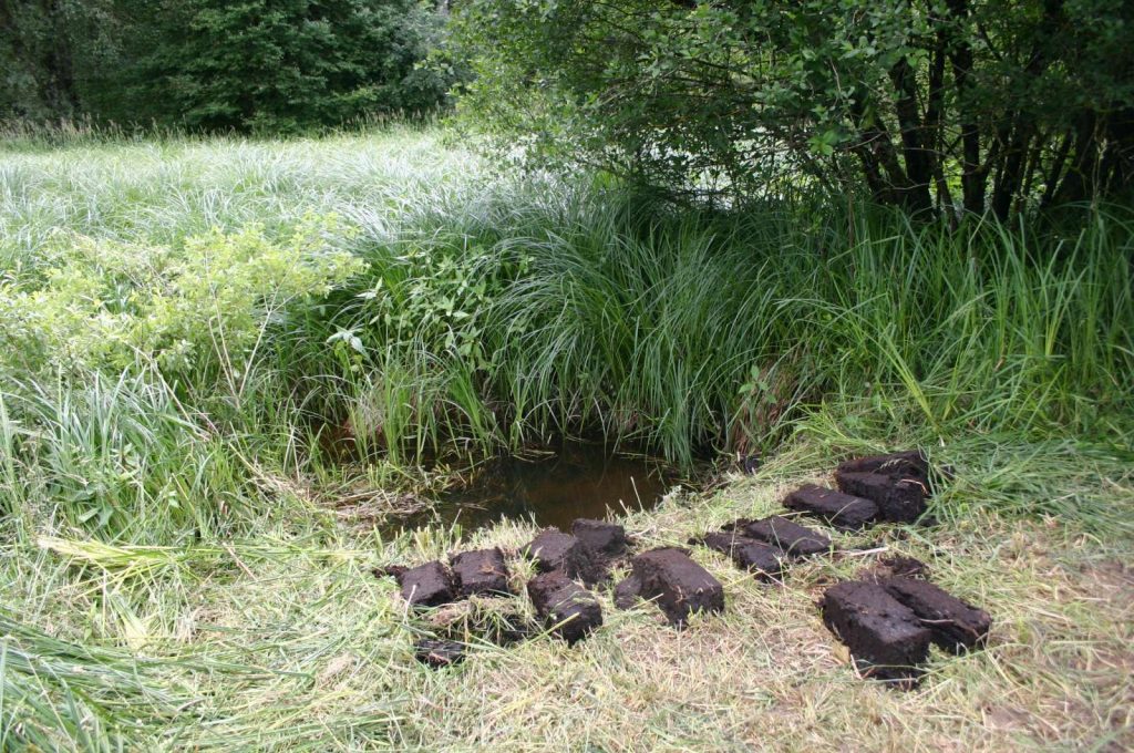 © Wildland-Stiftung Bayern