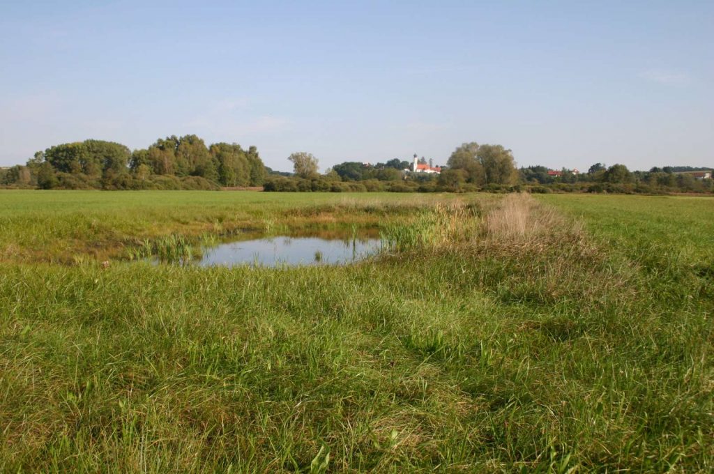 © Wildland-Stiftung Bayern