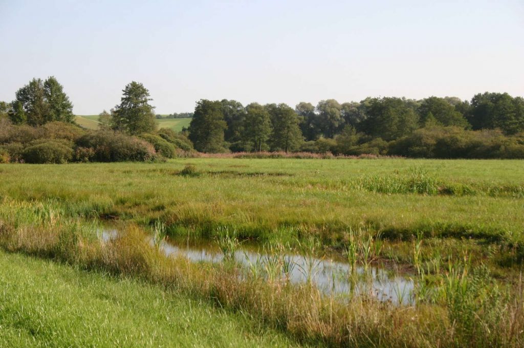 © Wildland-Stiftung Bayern