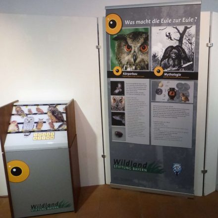 Eulen-Ausstellung © Wildland-Stiftung Bayern