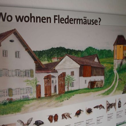 Wohnungen für Fledermäuse © Wildland-Stiftung Bayern