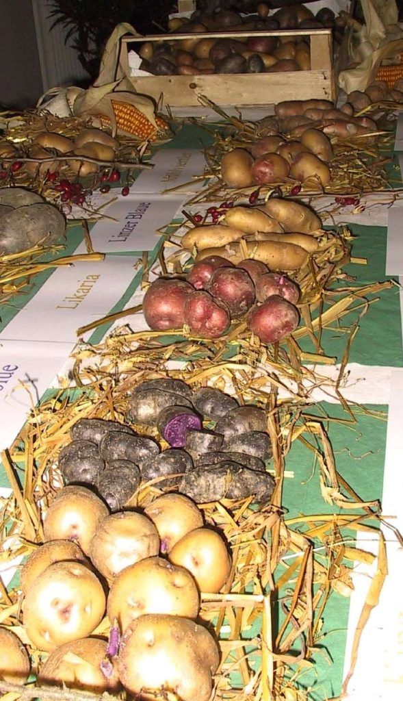 alte Kartoffelsorten©Wildland-Stiftung Bayern