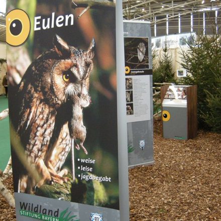 Eulen-Ausstellung © Wildland-Stiftung Bayern