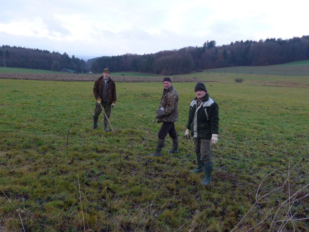 Heckenpflanzung fürs Rebhuhn in Tännesberg