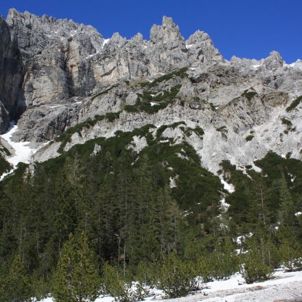 Lebensraum des Alpenschneehuhns © M. E. Asmus/Piclease