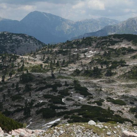 Lebensraum Steinhuhn © G. Ellwanger/Piclease