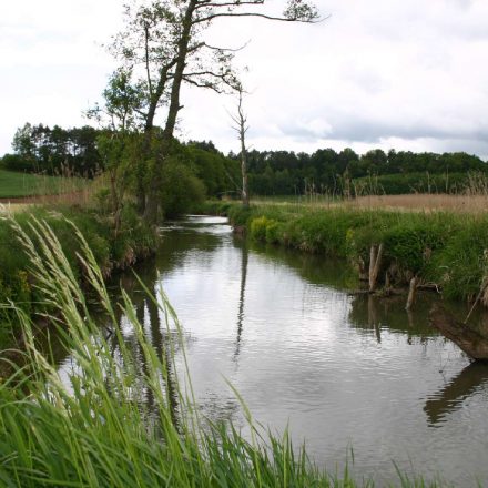 Baunach_Wiesenbrüterschutz