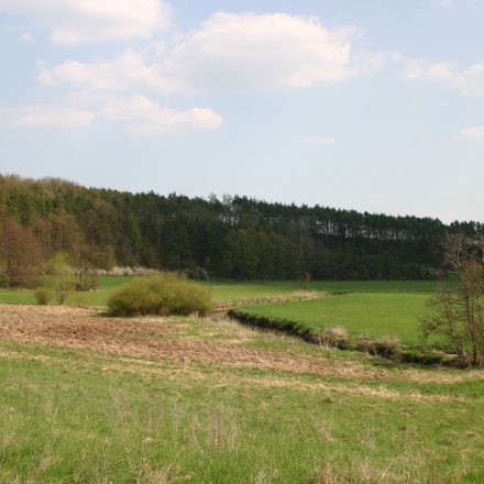 Tal der Baunach