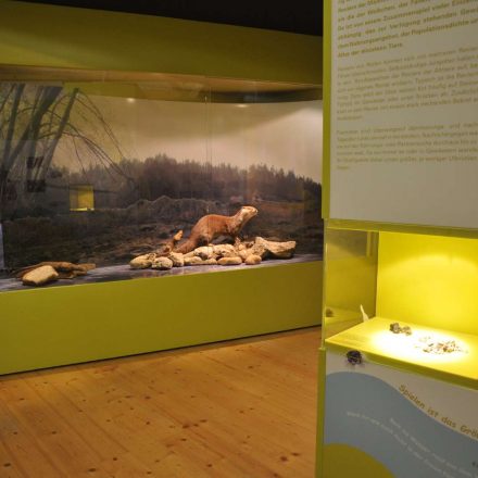 Otterausstellung