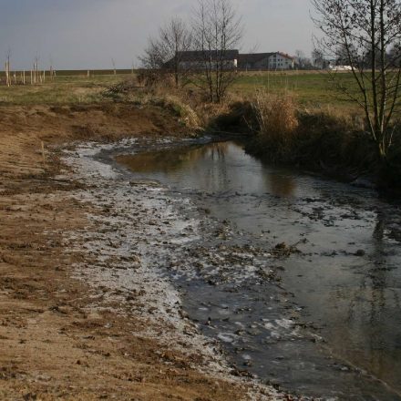 Neue Strukturen bei Pönning©Wildland-Stiftung Bayern