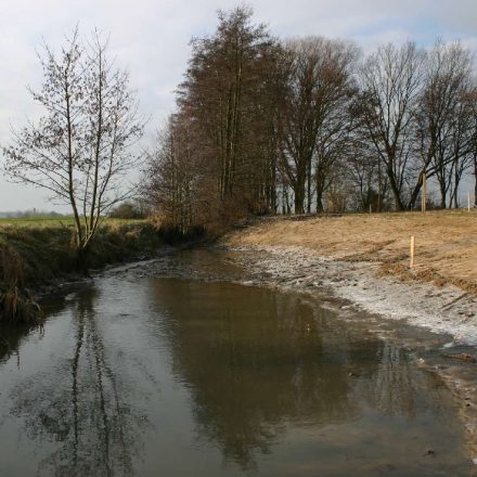 Grabenaufweitung©Wildland-Stiftung Bayern