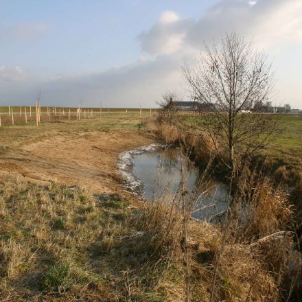 Grabenaufweitung©Wildland-Stiftung Bayern