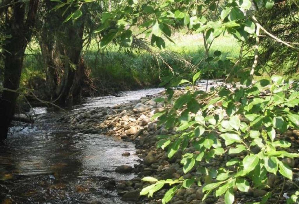 Fischotter-Lebensraum © Wildland-Stiftung Bayern