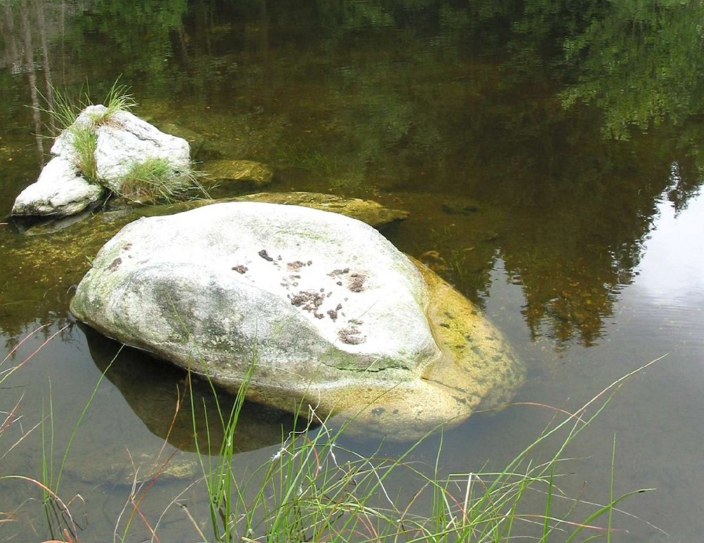 Otterlosung © Wildland-Stiftung Bayern