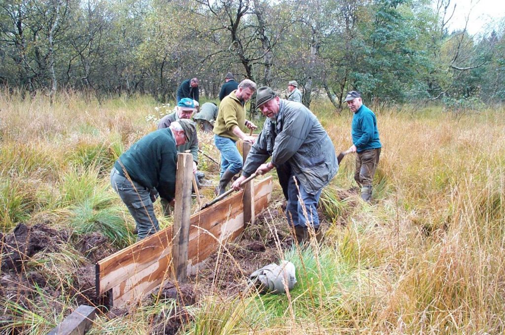 © Wildland-Stiftung Bayern