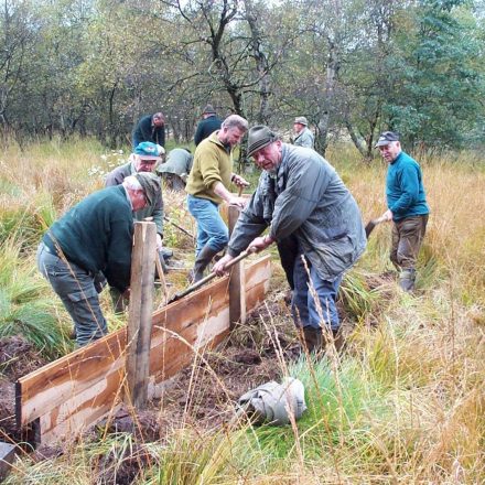 © Wildland-Stiftung Bayern