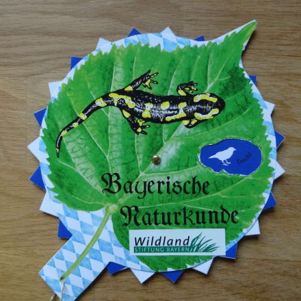 Bayerische Naturkunde©Wildland-Stiftung Bayern