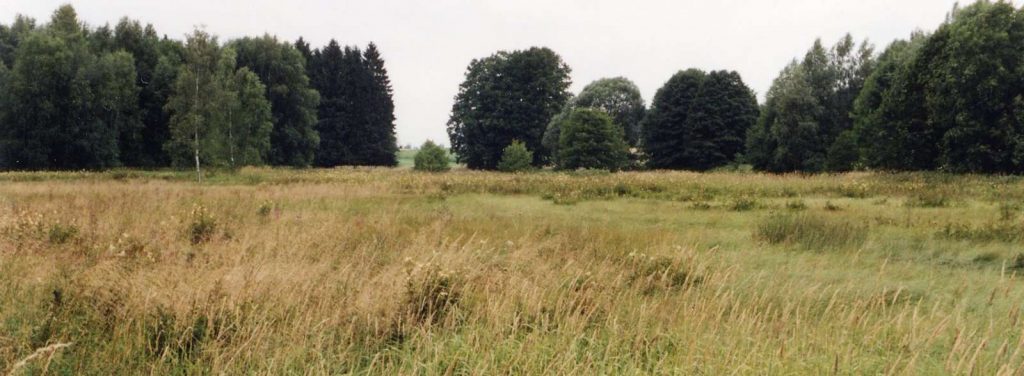 Biotopkomplex bei Mechlenreuth © Wildland-Stiftung Bayern