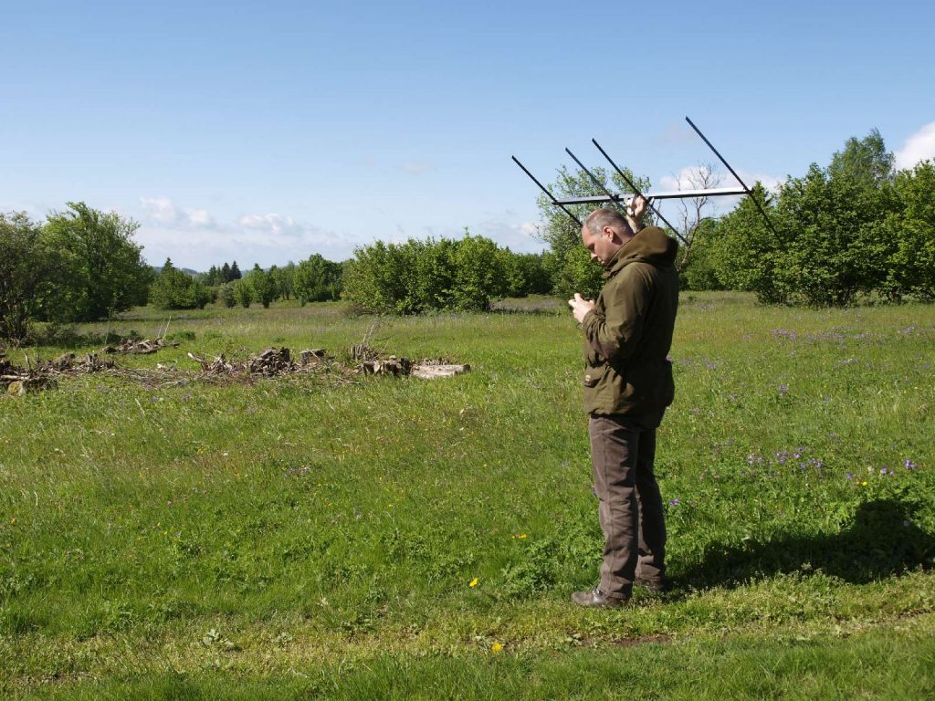 © Wildland-Stiftung Bayern