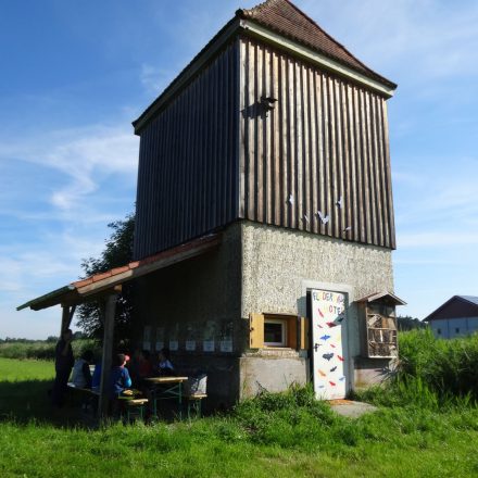 Fledermaushotel Obermoosham © Wildland-Stiftung Bayern