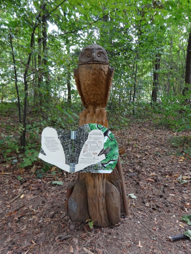 © Wildland-Stiftung Bayern