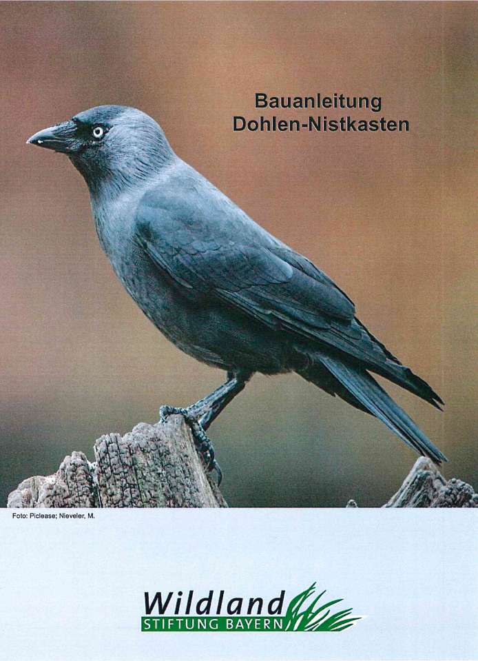 Bauanleitung Dohlen-Nistkasten