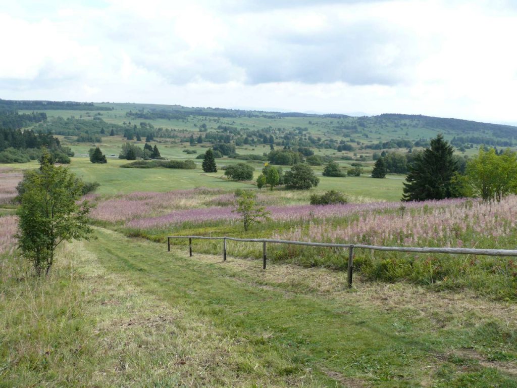 Naturschutzgebiet Lange Rhön © Wildland-Stiftung Bayern