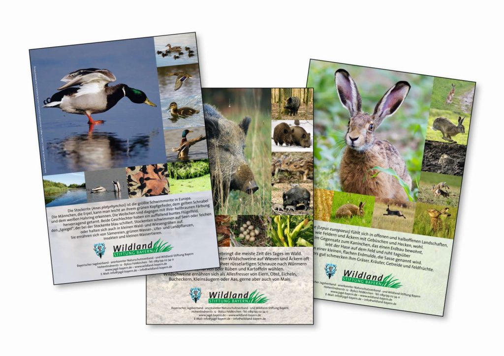 Tierposter©Wildland-Stiftung Bayern