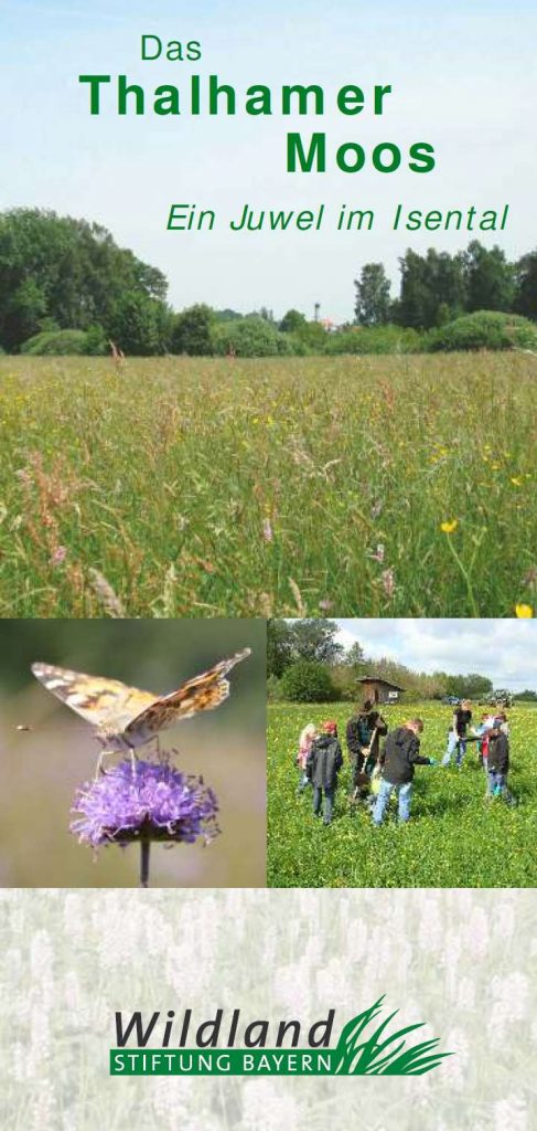 Titel_Das Thalhamer Moos_Flyer