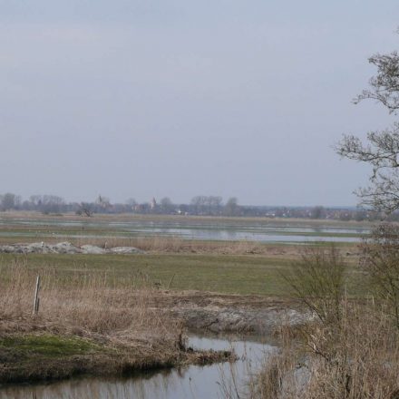 Wiesenbrütergebiet im Wiesmet ©Wildland-Stiftung Bayern