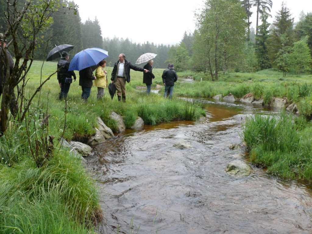 Pressetermin am Osterbach©Wildland-Stiftung Bayern