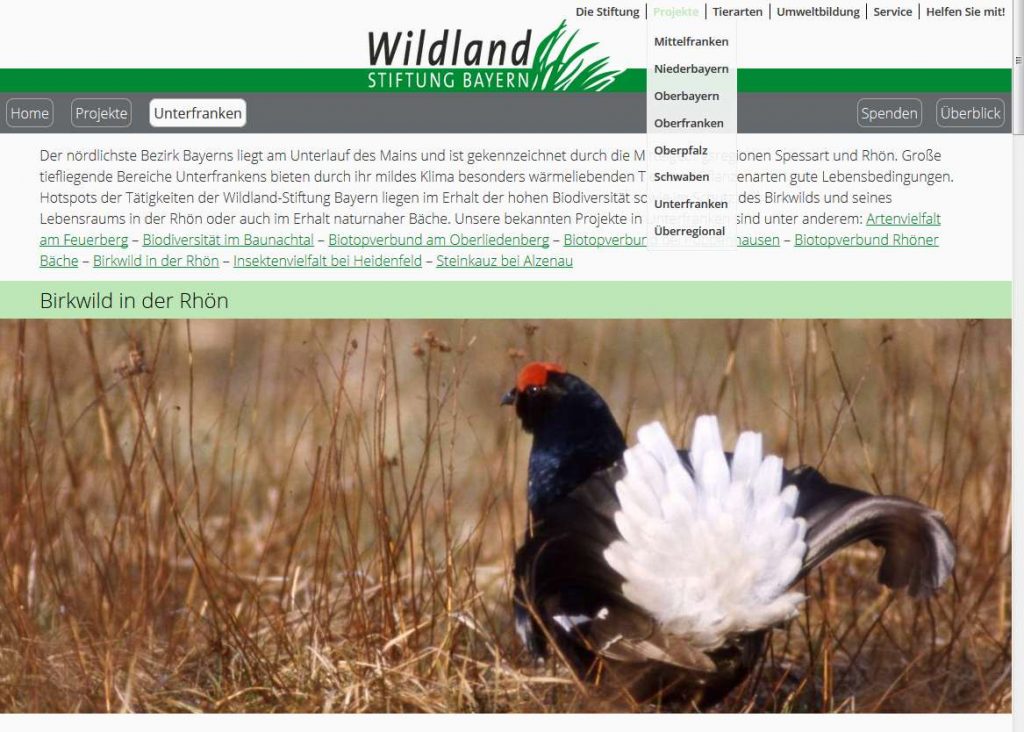 Internet-Auftritt ©Wildland-Stiftung Bayern