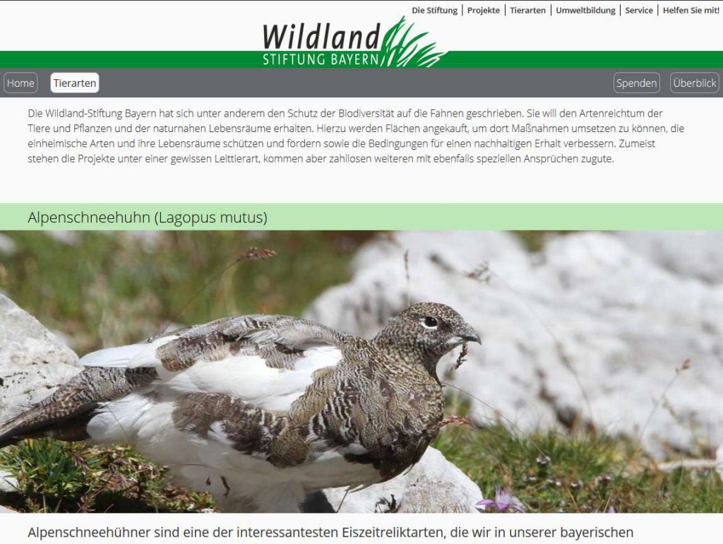 Internet-Auftritt ©Wildland-Stiftung Bayern