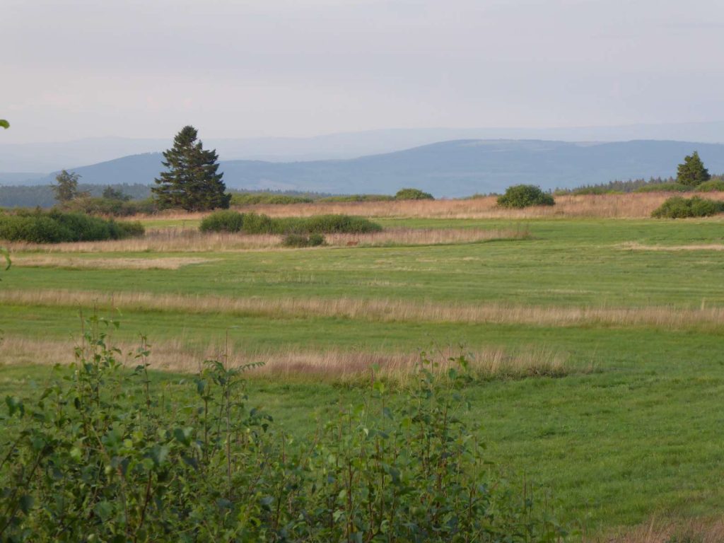 Offenlandschaft in der Rhön©Wildland-Stiftung Bayern