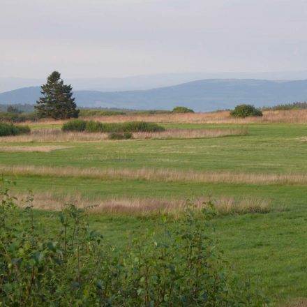 Offenlandschaft in der Rhön©Wildland-Stiftung Bayern