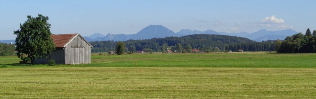 Haarmoos©S. Holzner/UNB